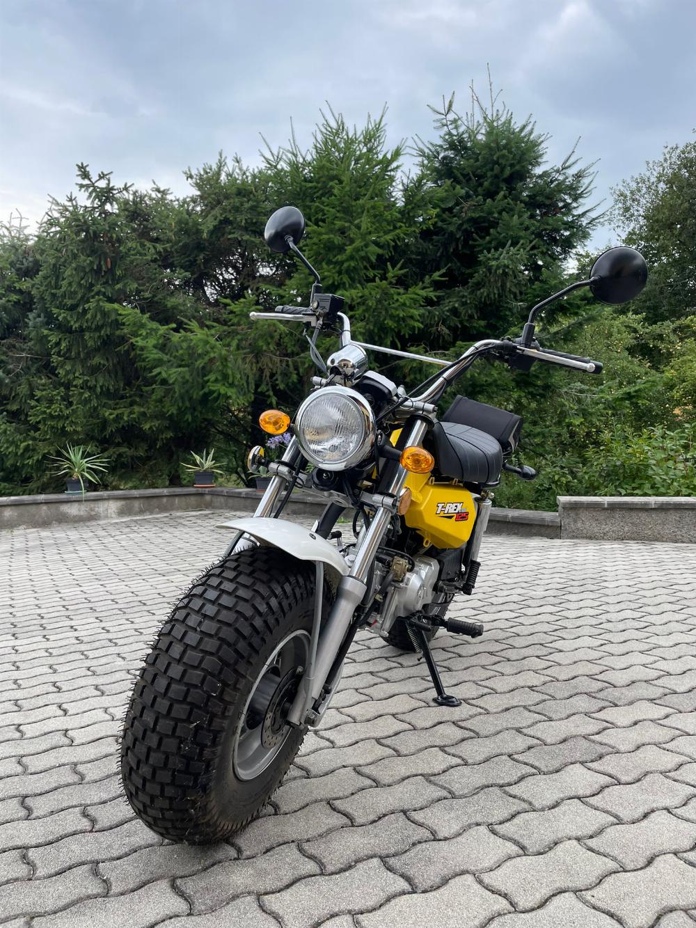 Motorrad verkaufen Skyteam T-Rex Ankauf